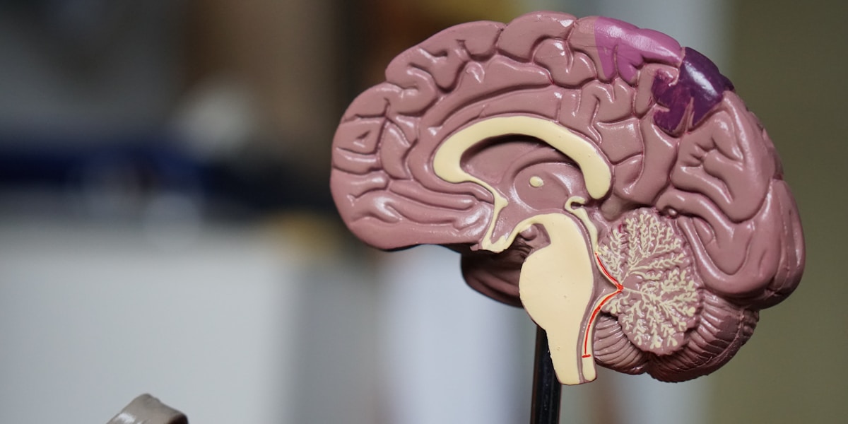 ADHD Voice Dictation: Science-Backed Benefits for Focus